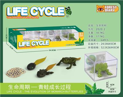 生命周期-青蛙 - OBL10000354