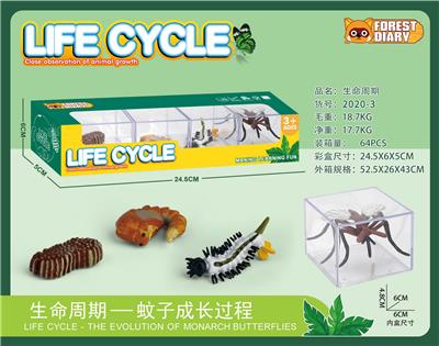 生命周期-蚊子 - OBL10000355