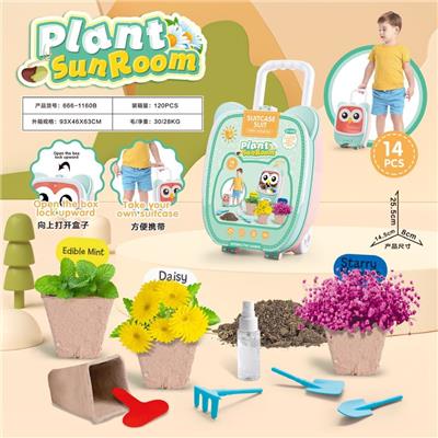 Set series - OBL10002756