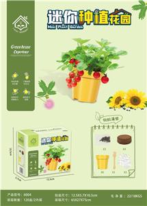 Set series - OBL10004356