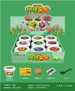 Set series - OBL10004357