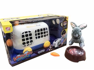 Set series - OBL10007515