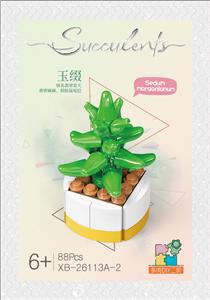 B多肉-玉缀  88PCS - OBL10016406