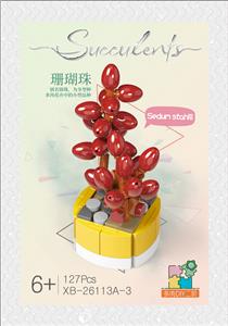 C多肉-珊瑚珠  127PCS - OBL10016407