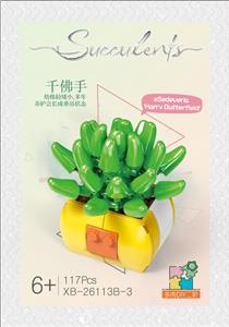 C多肉-千佛手  117PCS - OBL10016411