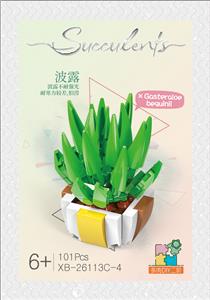 D多肉-波露  101PCS - OBL10016416