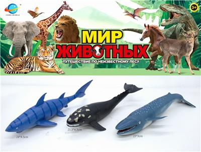 海洋生物 - OBL10030436