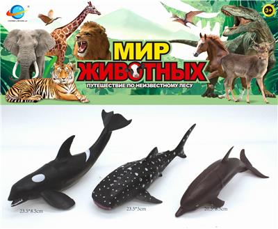 海洋生物 - OBL10030437