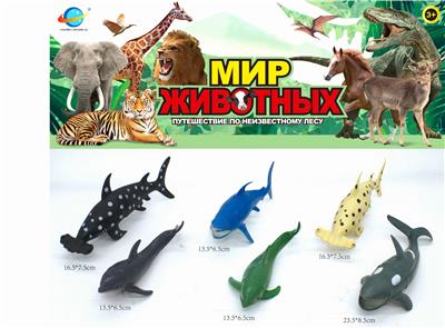 海洋生物 - OBL10030438