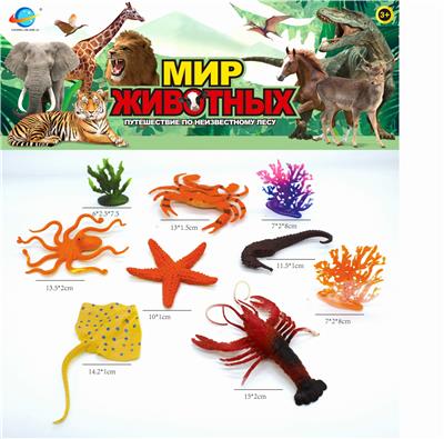 海洋生物 - OBL10030440