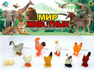 家禽 - OBL10030446