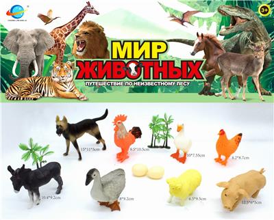 家禽 - OBL10030447