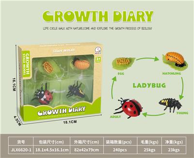 科技生物进化演变过程（瓢虫） - OBL10032630