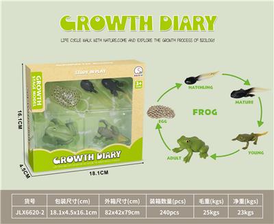 科技生物进化演变过程（青蛙） - OBL10032631