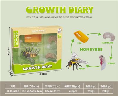 科技生物进化演变过程（蜜蜂） - OBL10032632