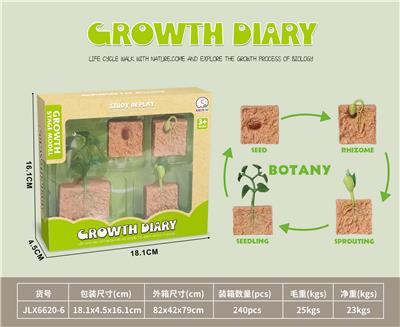 科技生物进化演变过程（植物种子） - OBL10032635