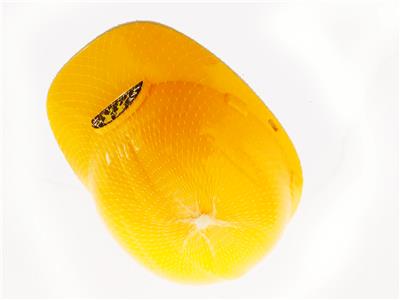 工具帽子 - OBL10051317