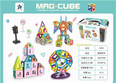 中号益智磁力积木256PCS（英文版） - OBL10061107