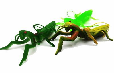 Animaltoys - OBL10065269