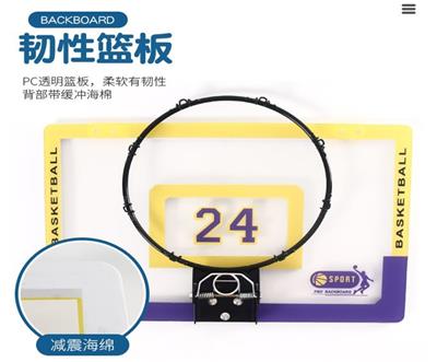 Basketball board / basketball - OBL10085363