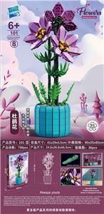 杜鹃花 - OBL10085416