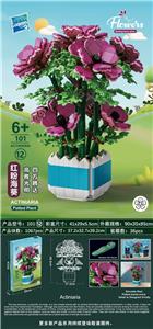 红粉海葵 - OBL10085420