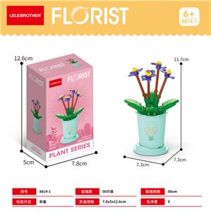 非洲堇 62PCS - OBL10093226