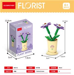 瓜叶菊 53PCS - OBL10093227
