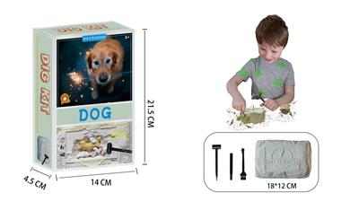 Intelligence series - OBL10105590