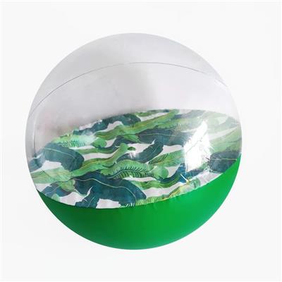 芭蕉叶充气球 - OBL10118265