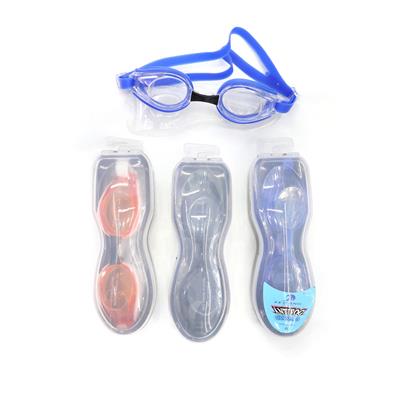 Mask / glasses - OBL10133647