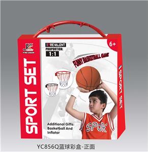 Basketball board / basketball - OBL10142111