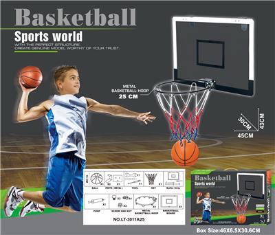 Basketball board / basketball - OBL10147581