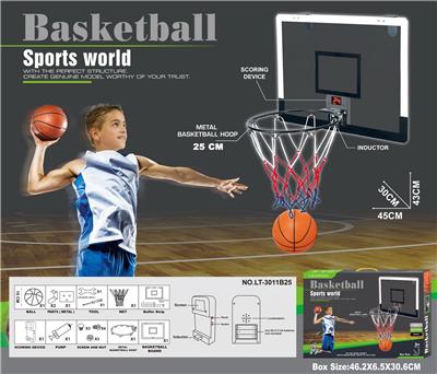 Basketball board / basketball - OBL10147594