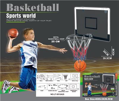 Basketball board / basketball - OBL10147607