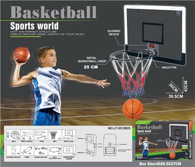 Basketball board / basketball - OBL10147620