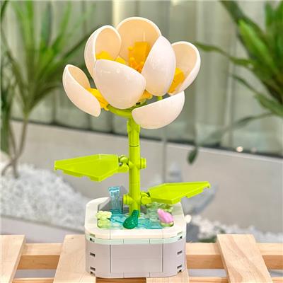 山茶花 - OBL10170525