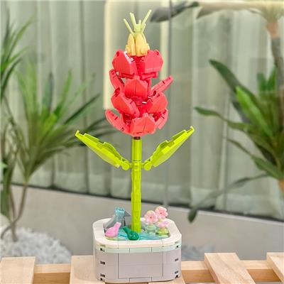 虾衣花 - OBL10170531