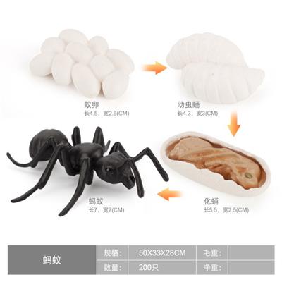 Animaltoys - OBL10198360