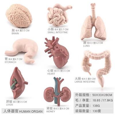 Animaltoys - OBL10198481