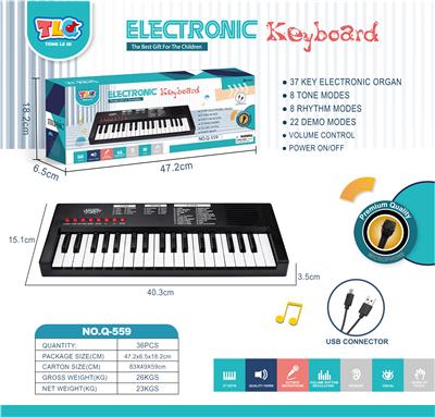 electronic organ - OBL10201745