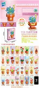 冰灯玉露 - OBL10211220