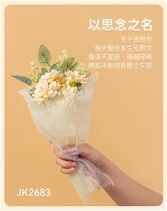 以思念之名 - OBL10243437