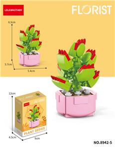 熊童子 76PCS - OBL10243799