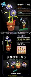 昙花 - OBL10253425