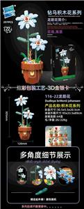 龙胆花 - OBL10253442
