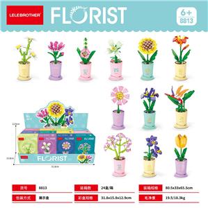 12星座花守护花 - OBL10271145