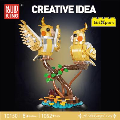 Black-capped Lory 全英版 - OBL10296630