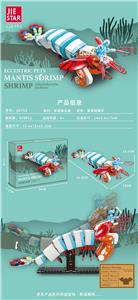 雀尾螳螂虾 - OBL10300650