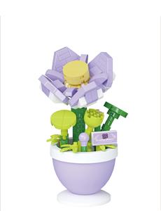 花漾盆栽-荷花 - OBL10301420